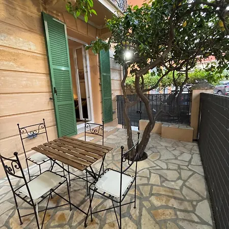 Lemon Tree